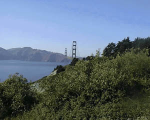 GoldenGate.JPG (19059 Byte)